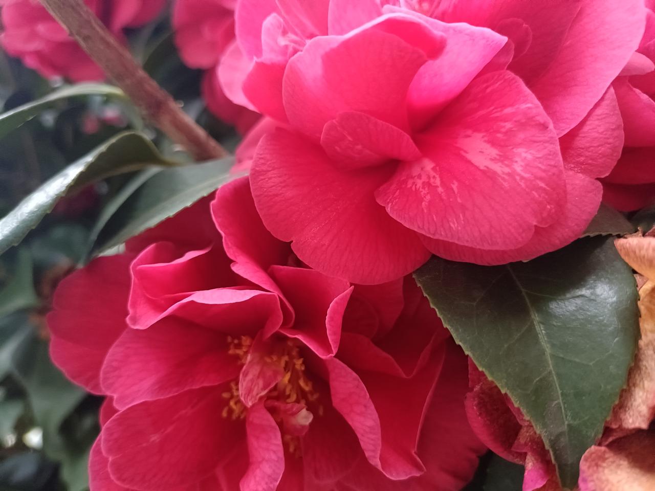 “一人公司”创业者的真实经历