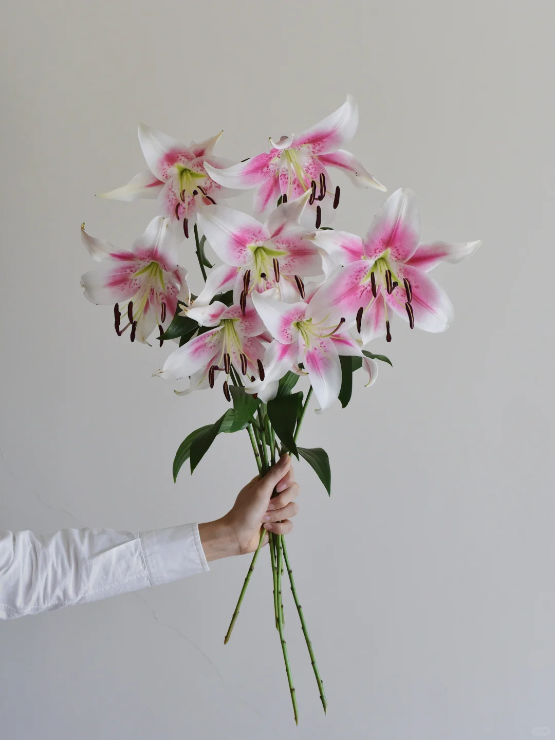 百合·那个女人