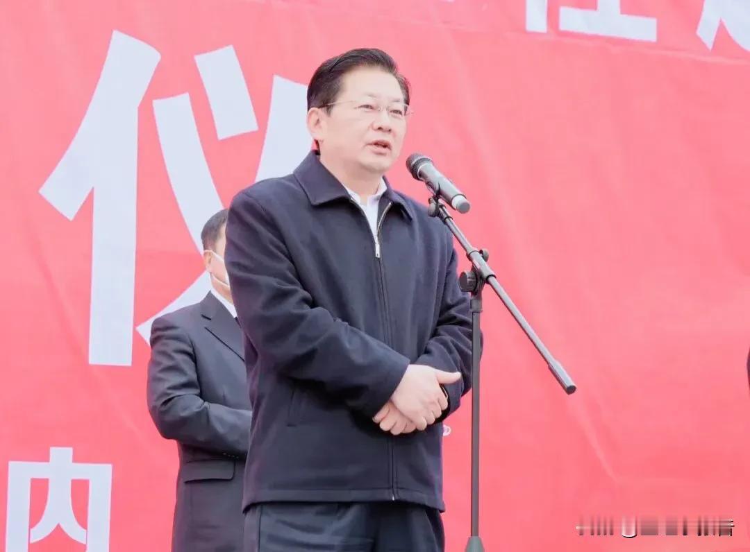 南阳电厂二期项目被当时主政南阳者认为是支撑南阳省域副中心城市的能源一号工程，也是