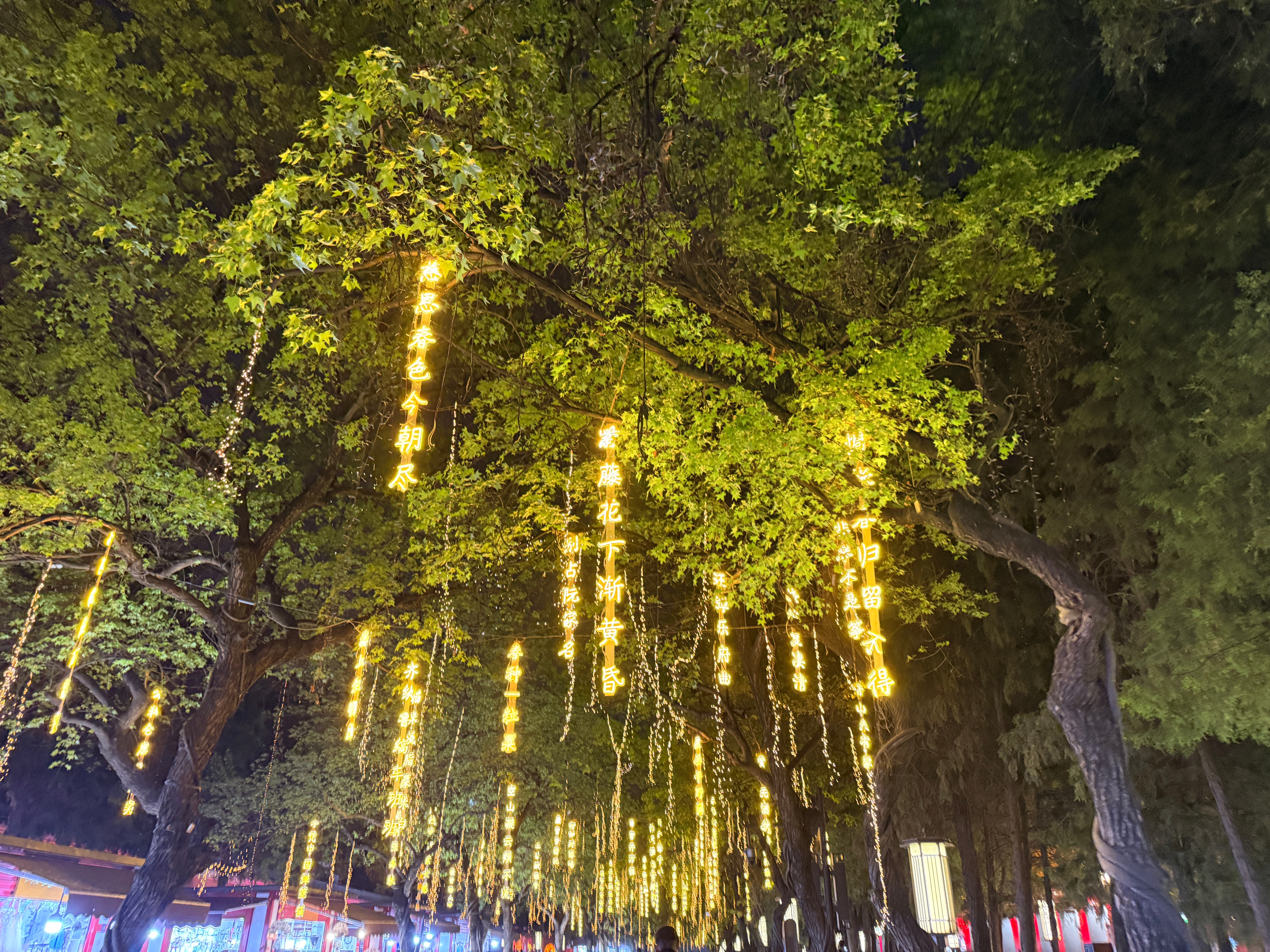 嘿嘿小唐风的照片还有，你们五一去哪里呀？汉服妆造汉服中华文化小赏西安旅行