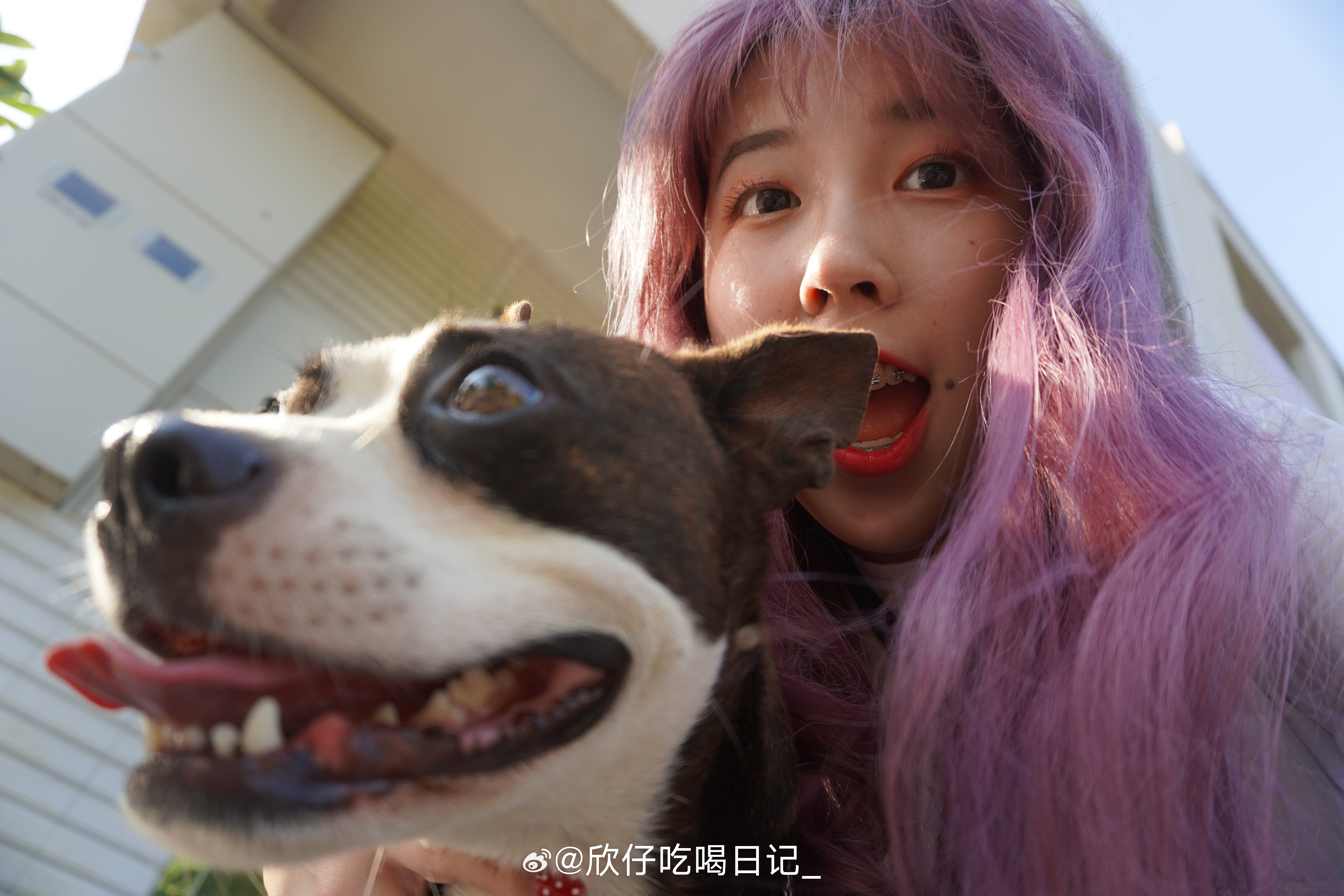 今天签注下来了感动我想念了5年的小岛🥹 ​​​