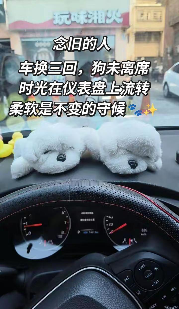 车换三回，狗未离席。时光在仪表盘上流转，柔软是不变的守候 🐾✨