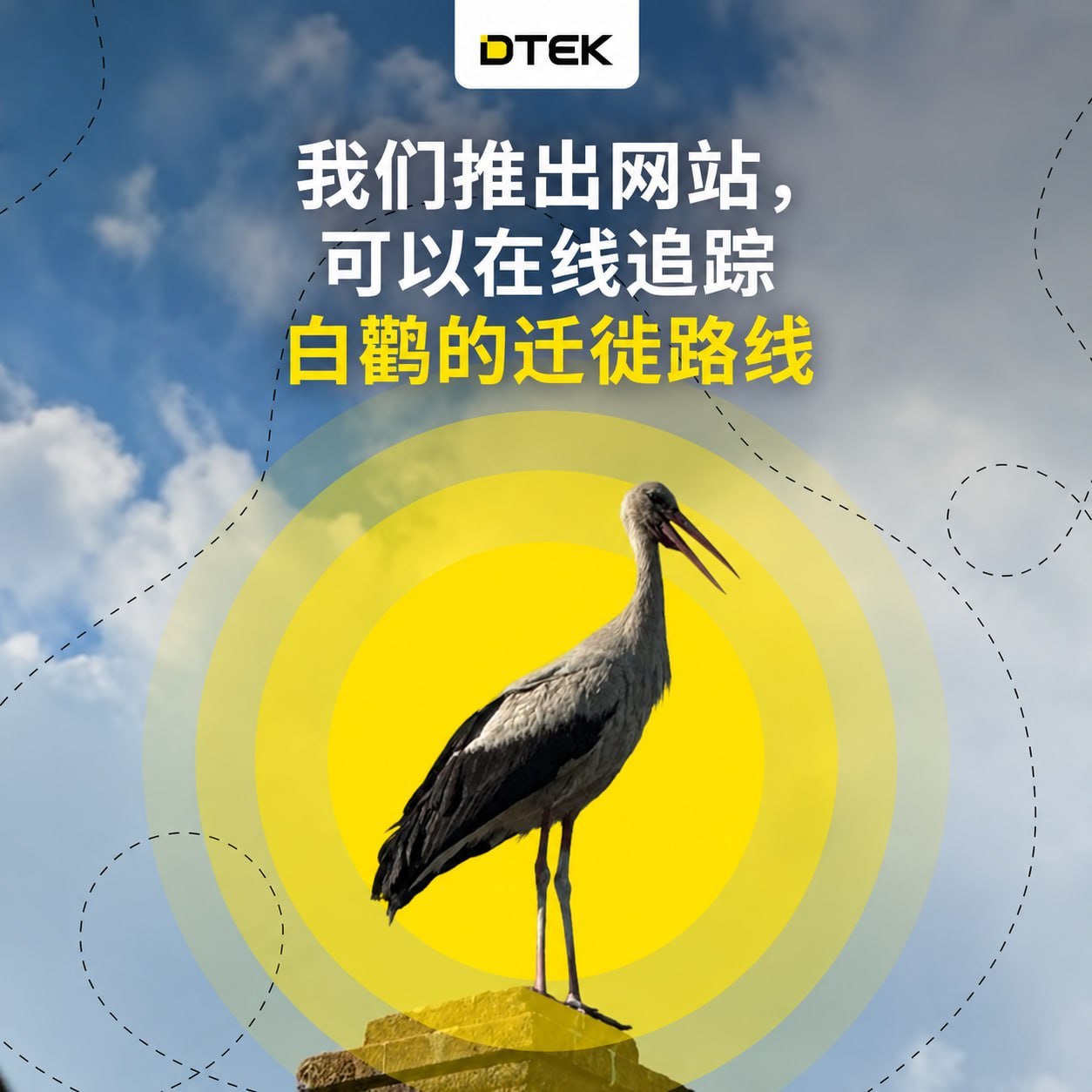 😍 乌克兰的白鹳在哪里过冬？现在可以在线追踪它们的迁徙路线了！乌克兰能源公司D