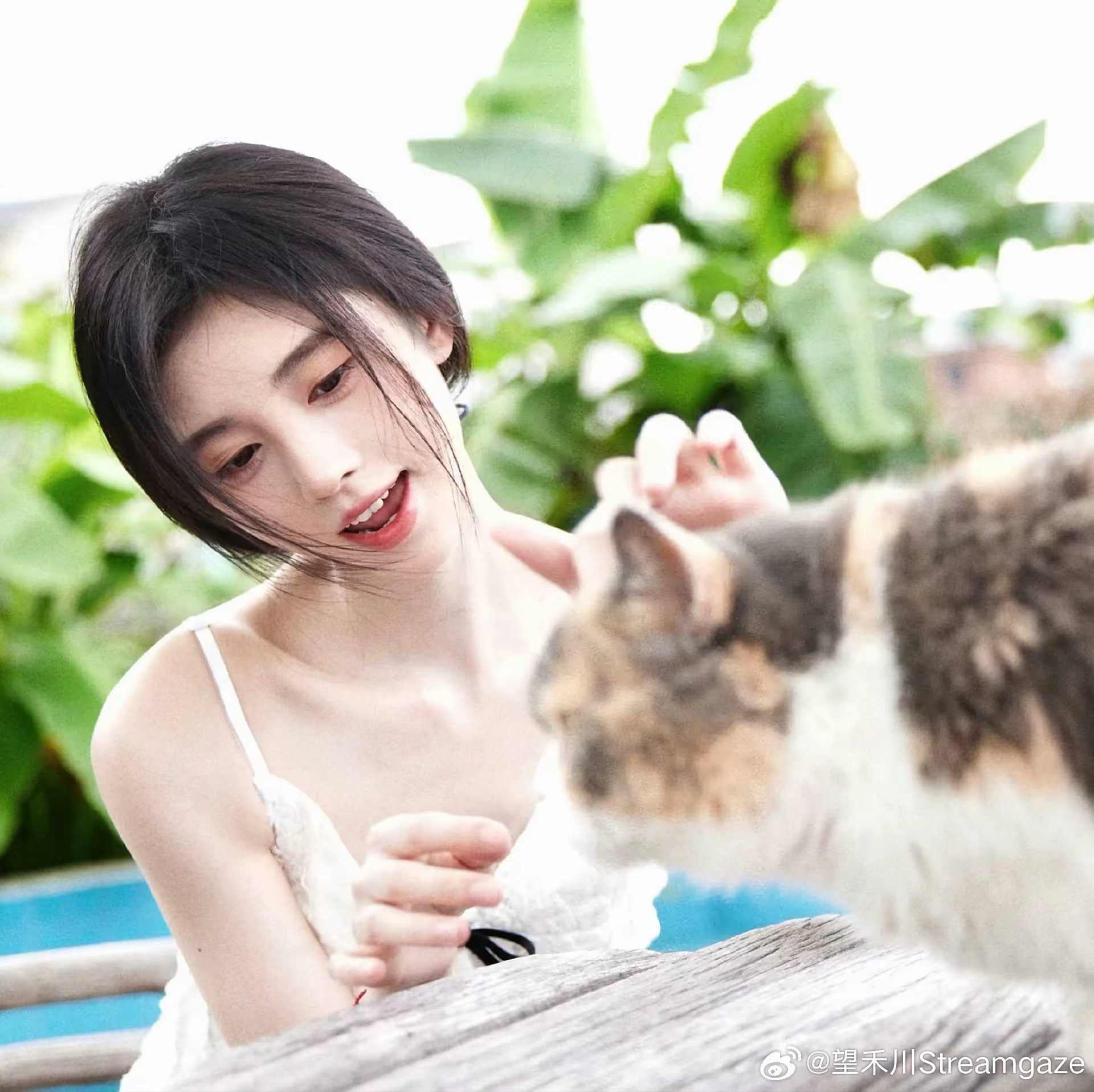 💙🍊鞠婧祎姜黎非 💙🍊鞠婧祎阿黛 “世俗静谧清冷 唯独你眼里布满赤诚” 