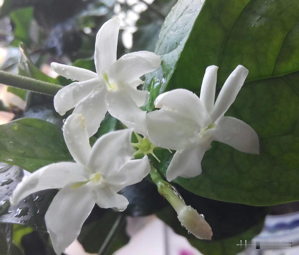过去的让它过去，永远不要回顾，未来的，等它来了再说，不要空想，我们只抓住现在，用