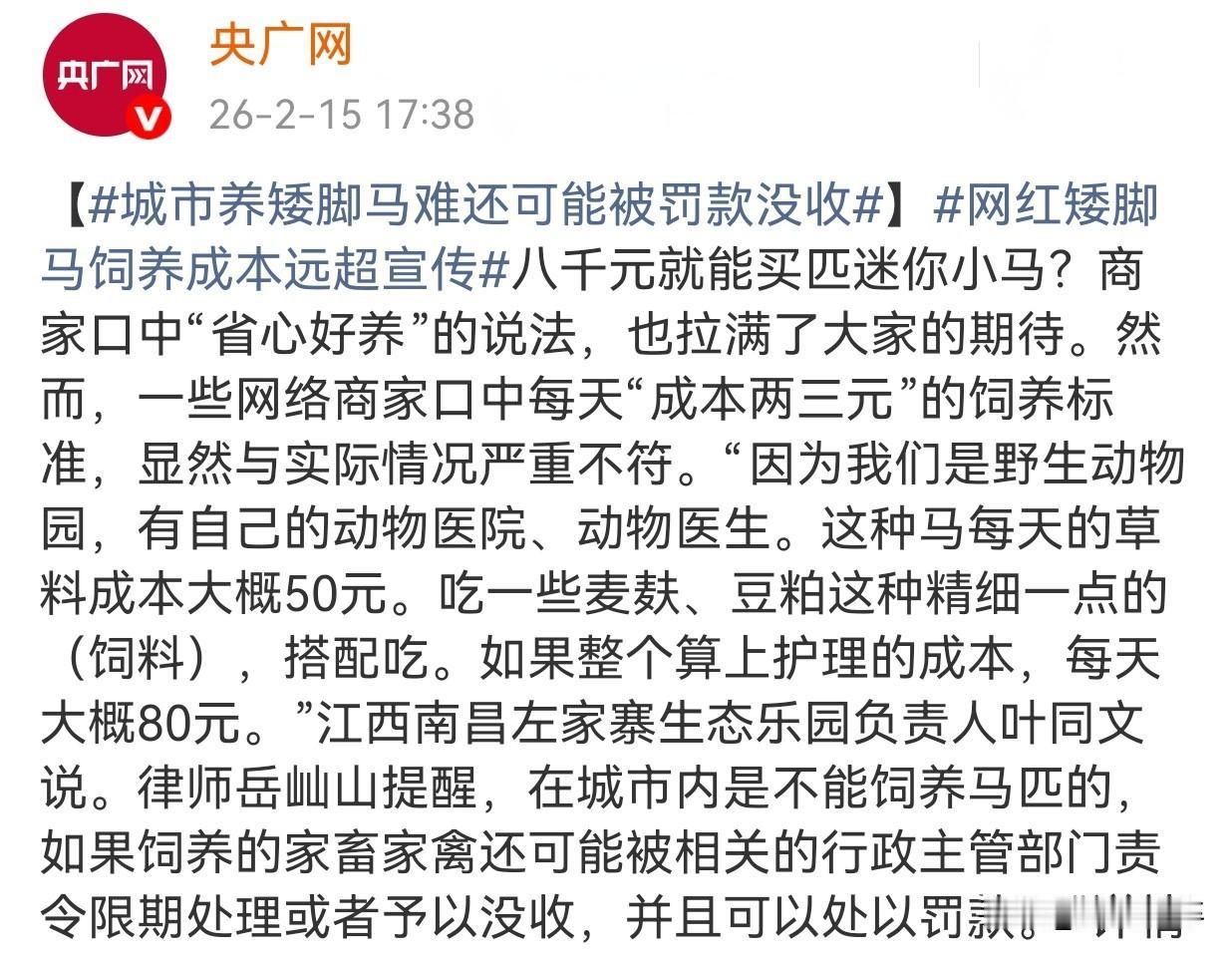 央广网提示“马年网红矮马别盲目的跟风购买喂养”！
马年将至，外形软萌的矮脚马外表