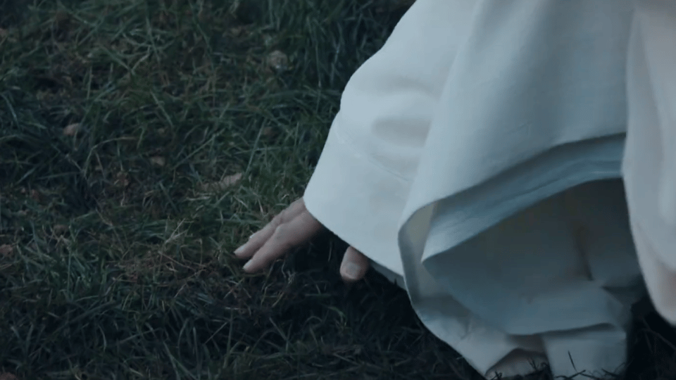 1个剧组5个影帝影后视帝这个长安二十四计的演员阵容，妥妥的影帝影后大团建啊，王劲