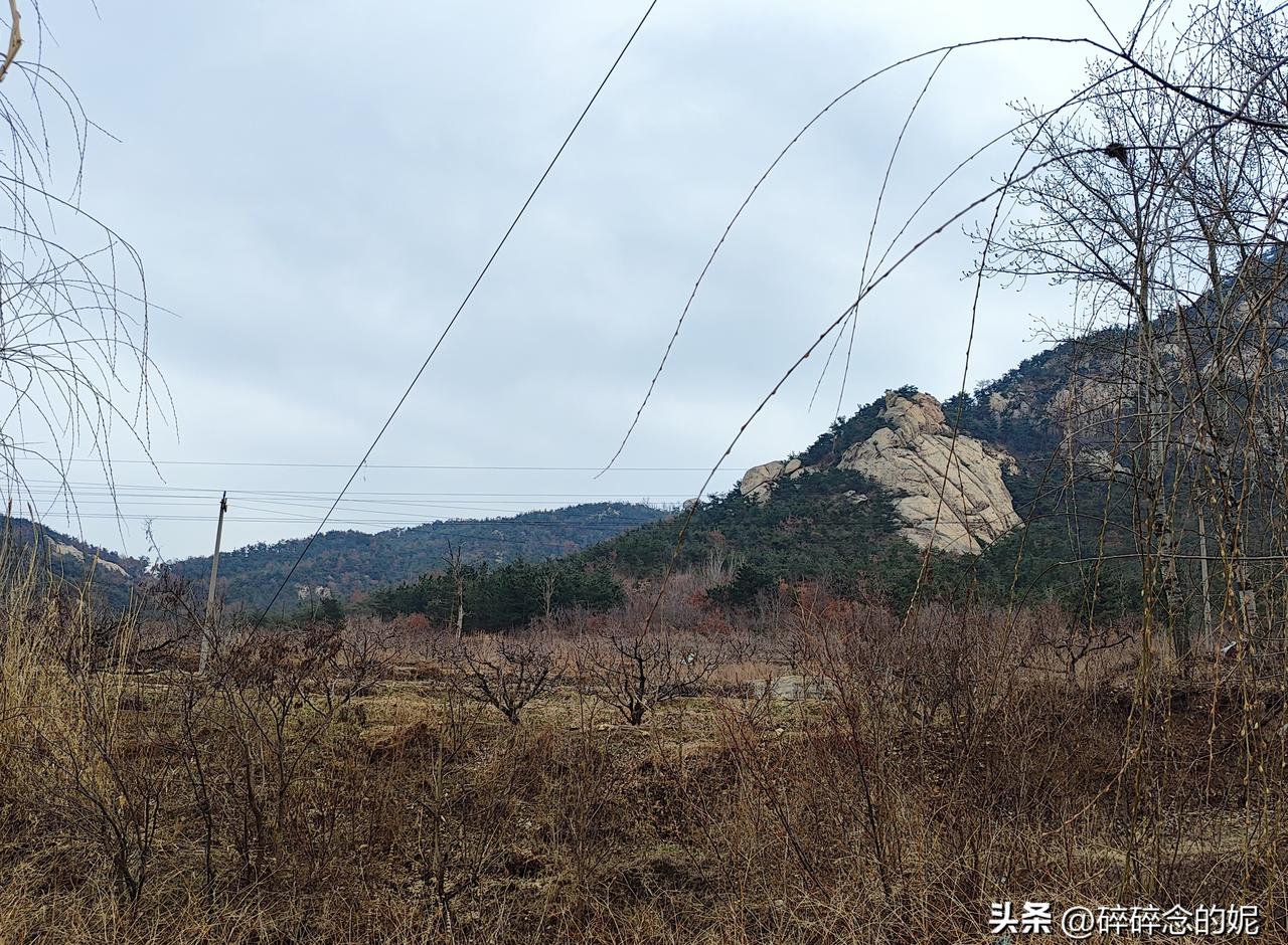 红屋顶下我摸着瓦片发呆，

手机屏幕亮了又暗，

姥爷在院里钉篱笆，

我妈坐在