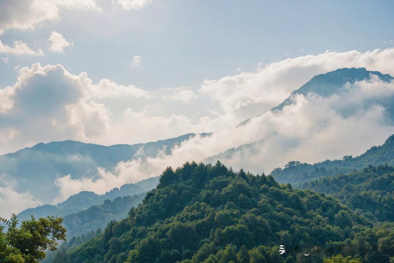 上周赶早去崀山八角寨蹲日出，真的被眼前的景色撞得说不出话。
晨曦刚漫过山头，整座