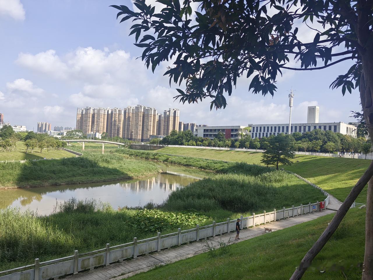 幼升小之前在网上报名了，收到通知后今天去学校现场提交资料，人不多，都是按号错开了