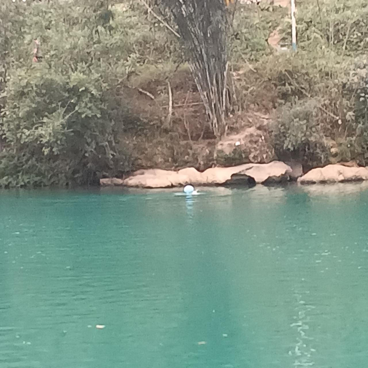 今天巴马气温飙升到28度，这天气简直太适合去盘阳河游泳啦！盘阳河可是巴马的一大特