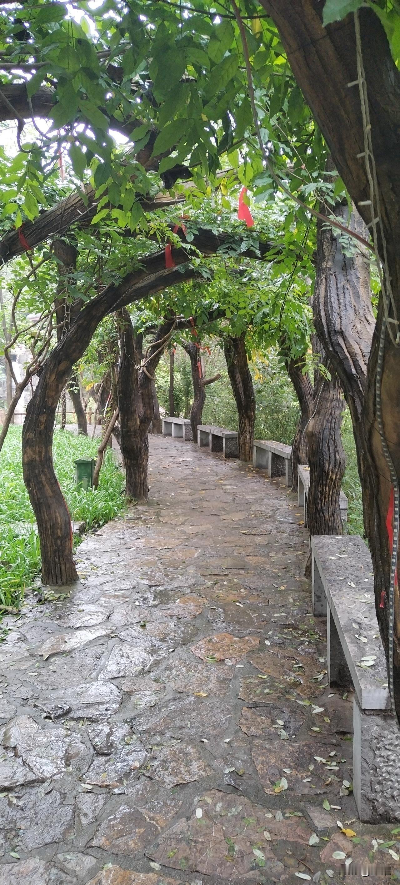 总想着讨好所有人，
拼命寻求别人的认可，
后来直到撞了南墙才懂：别人的认可，不过