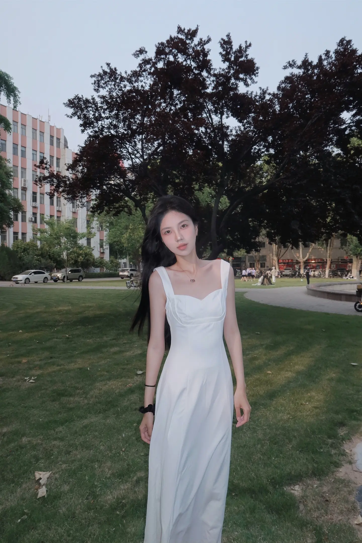绿树阴浓夏日长