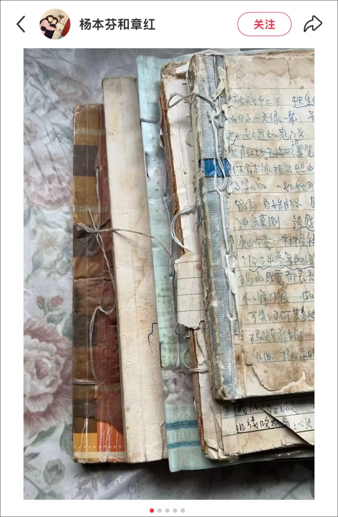 【#杨本芬承认抄袭# 】近日，凭借《秋园》《豆子芝麻茶》《我本芬芳》《浮木》等畅