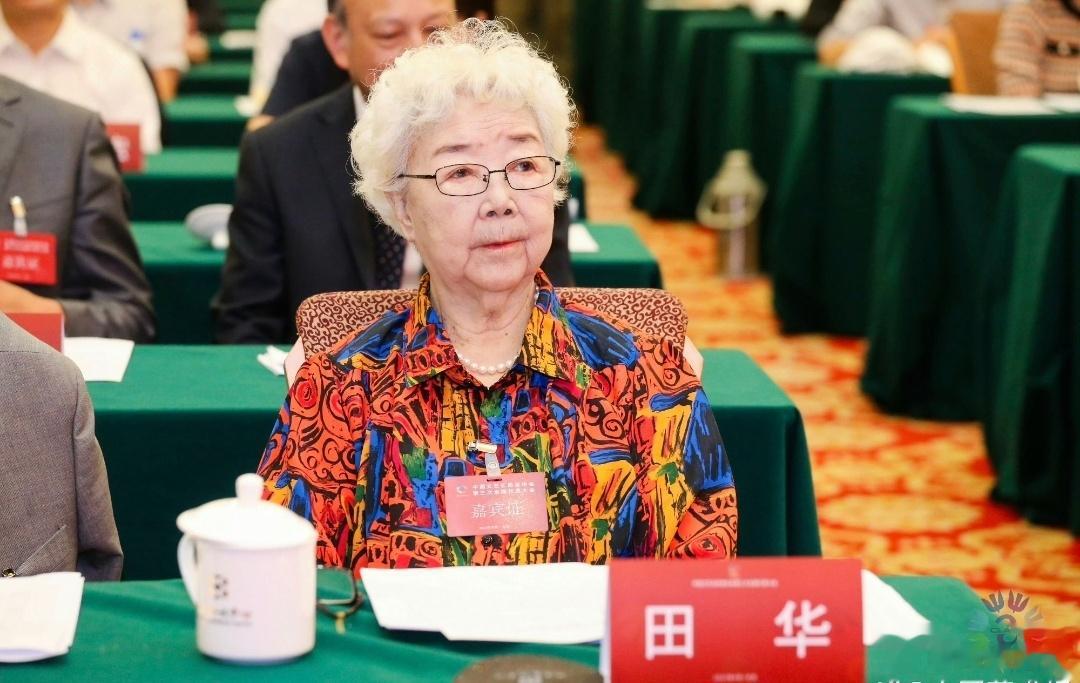 田华、王俊凯、陈晓、王凯、张凯丽、黄渤、周迅、周涛、朱迅、张泽群、刘大成、王祖蓝