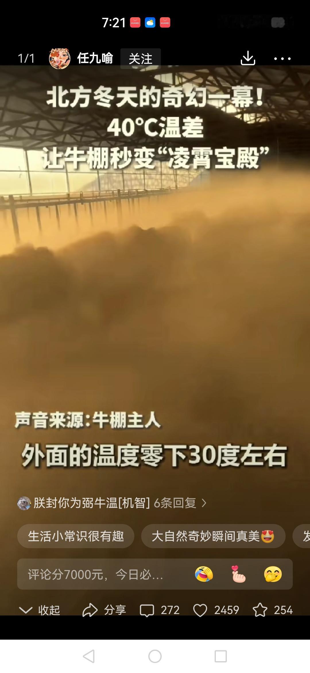 火到人民日报了！
内蒙古大姐一早喂牛推门就傻眼，零下30度的天，棚里白茫茫一片，