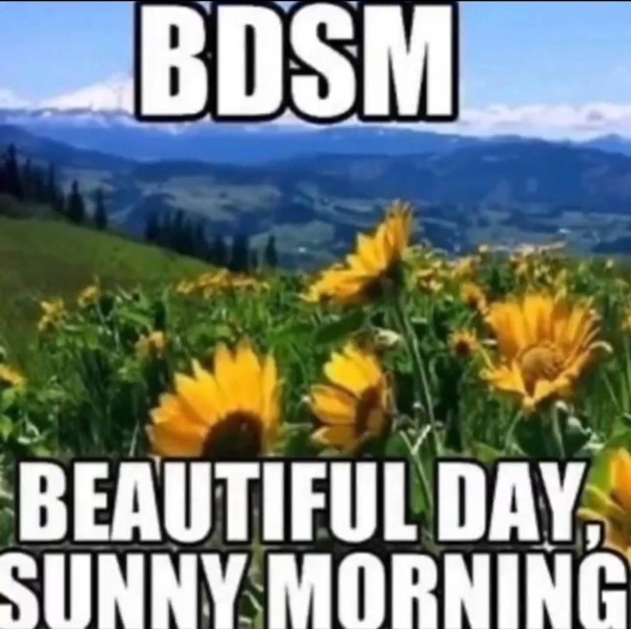 bro I love BDSM#meme# ​​​