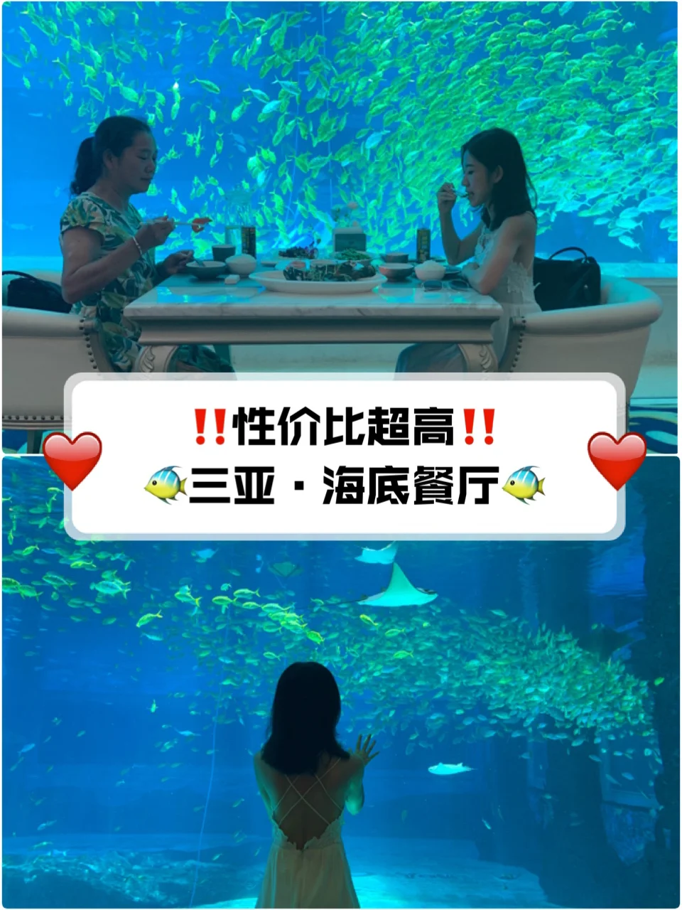 三亚｜和你爱的人❤️去一次海底餐厅吧🐠