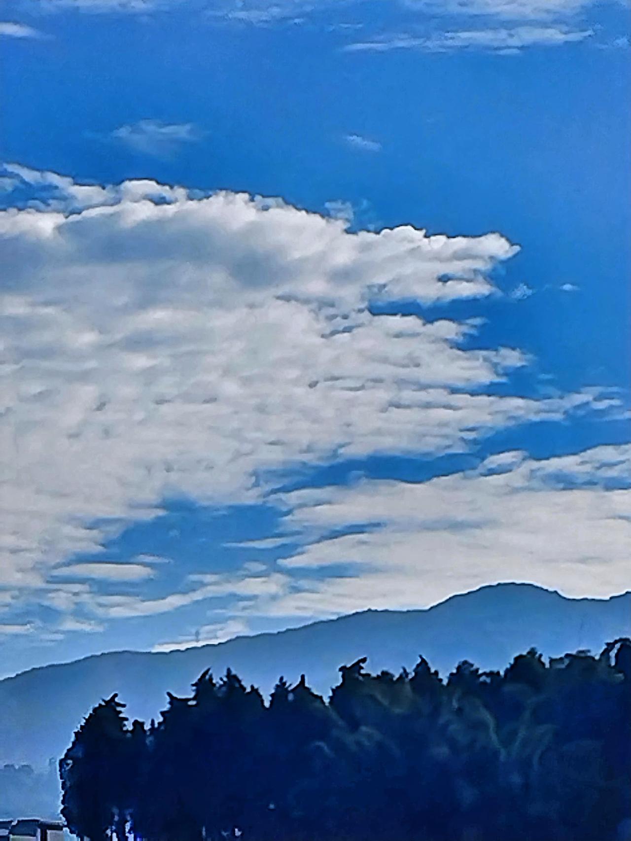 蓝天白云下的静谧森林，大自然的宁静之美。原创手机拍摄透过手机镜头定格的这方天空，