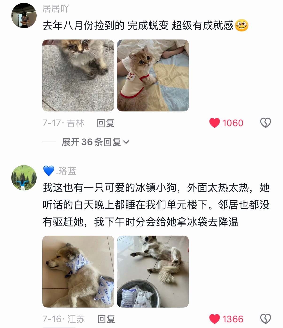还是要多看看这些才会让我感觉到世界还没那么的糟糕 