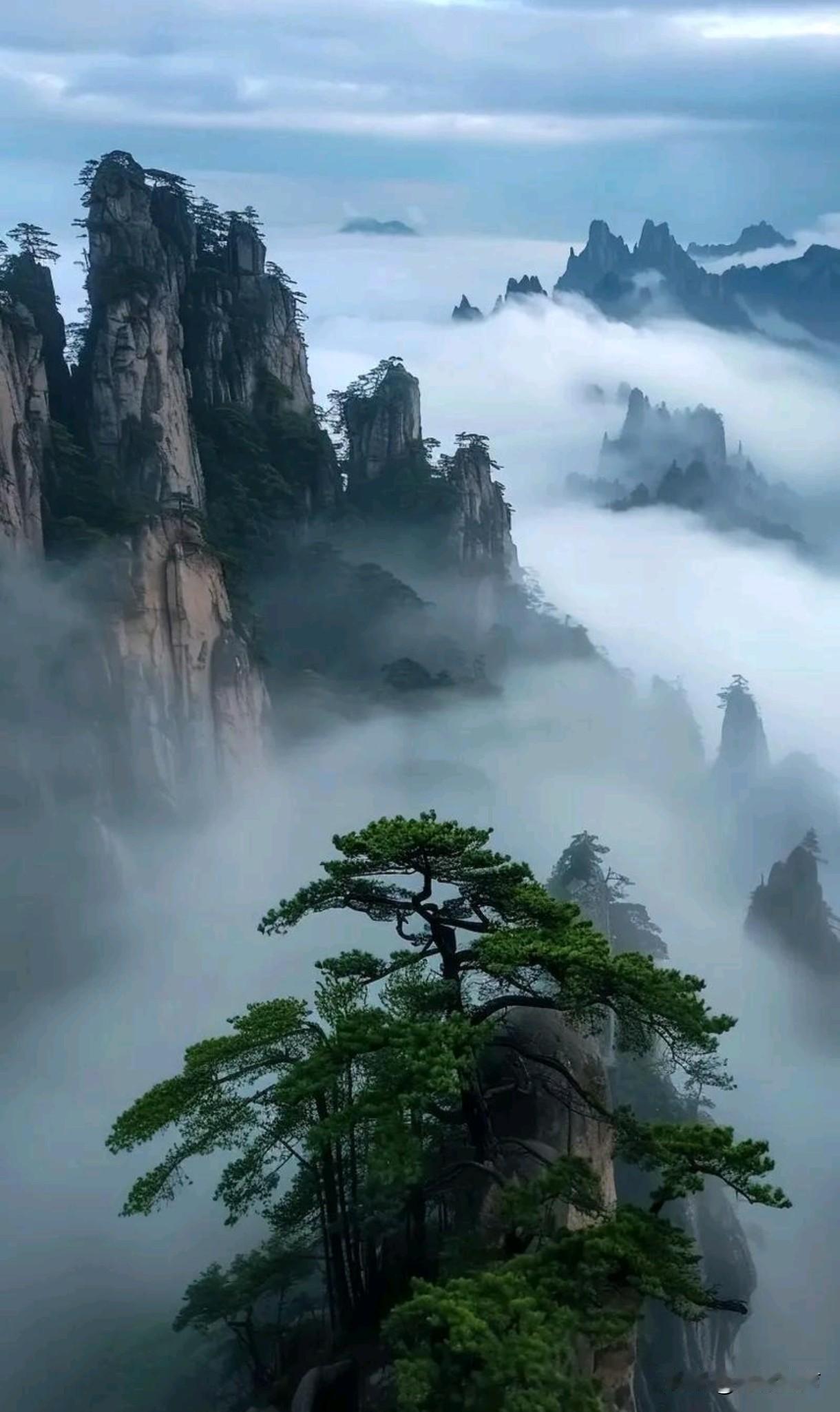 雾锁黄山，光引归途
 
四月二十日，春深似海，草木葳蕤，我怀揣着对“天下第一奇山