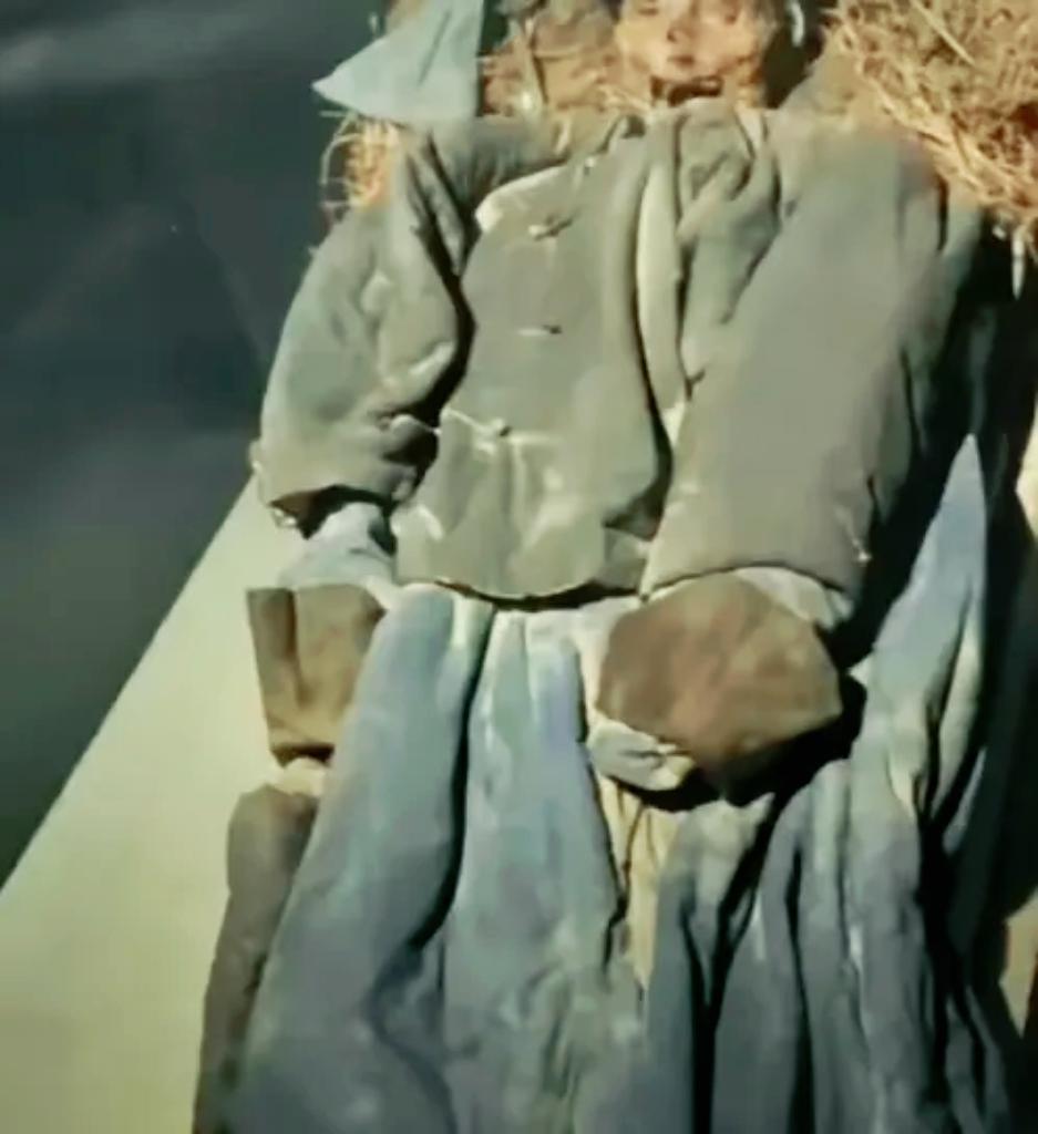 2015年，新疆喀什，一个牧民在寻找离群的小羊时，却意外在一处僻静的山洞里发现一