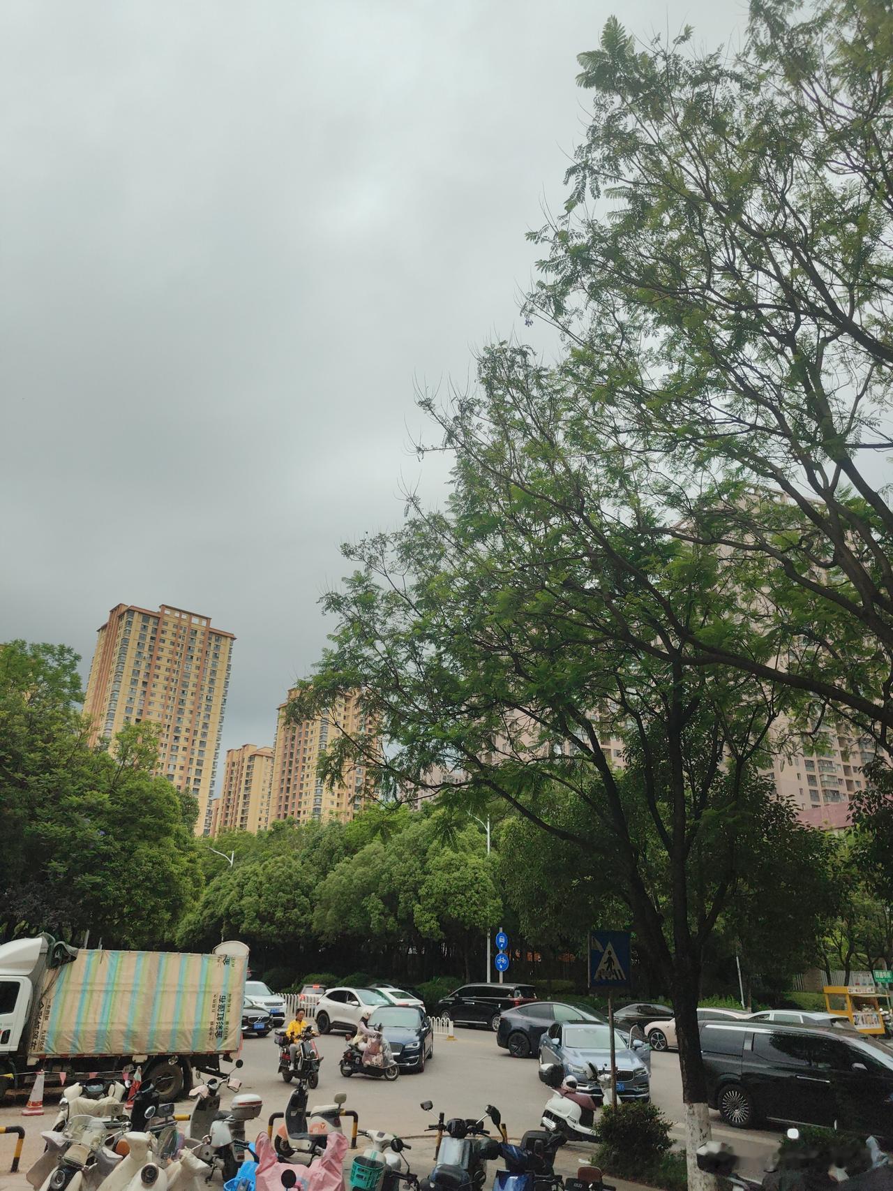 记录我的2026下大雨