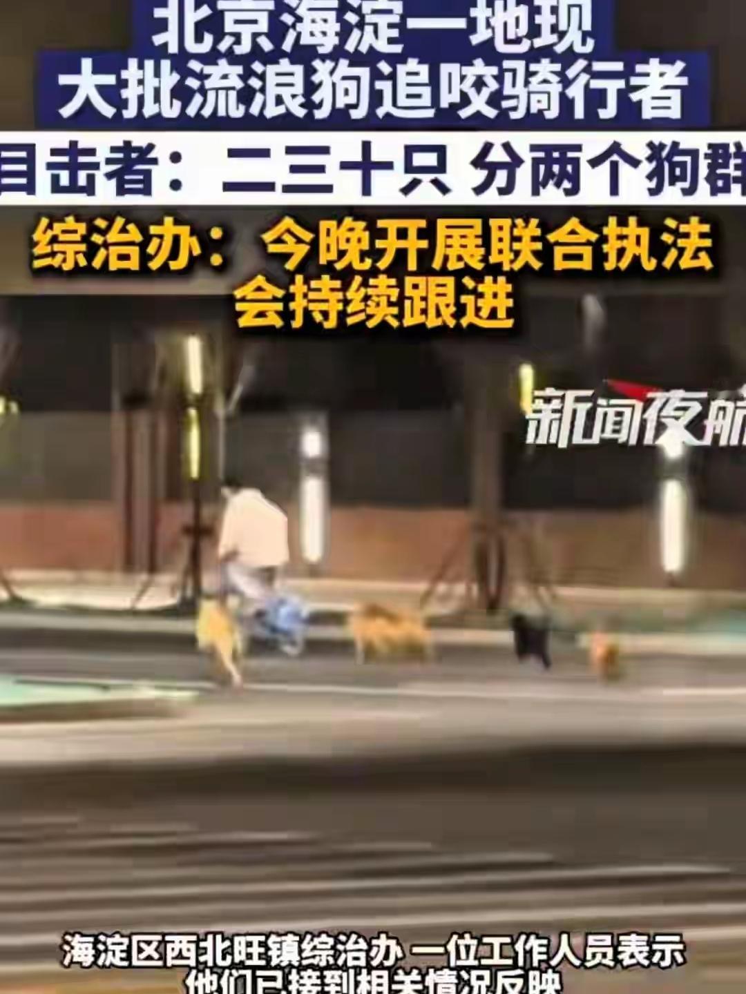 海淀区的流浪恶犬终于被绳之以法，大快人心。现在的问题是，这群恶犬最终的下场，到底