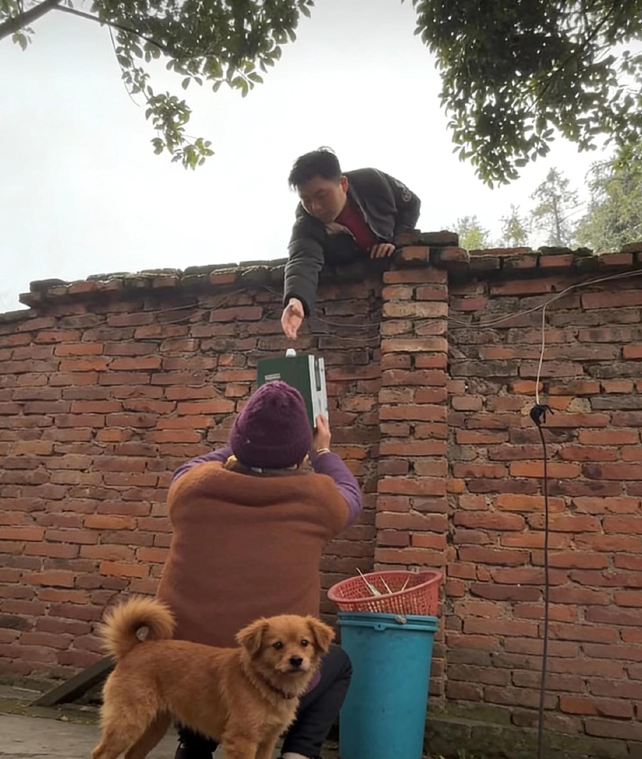 看了一个视频让人泪目
儿子要离家出去打工，临走之前来到老母亲的墙外，趴在墙上没有