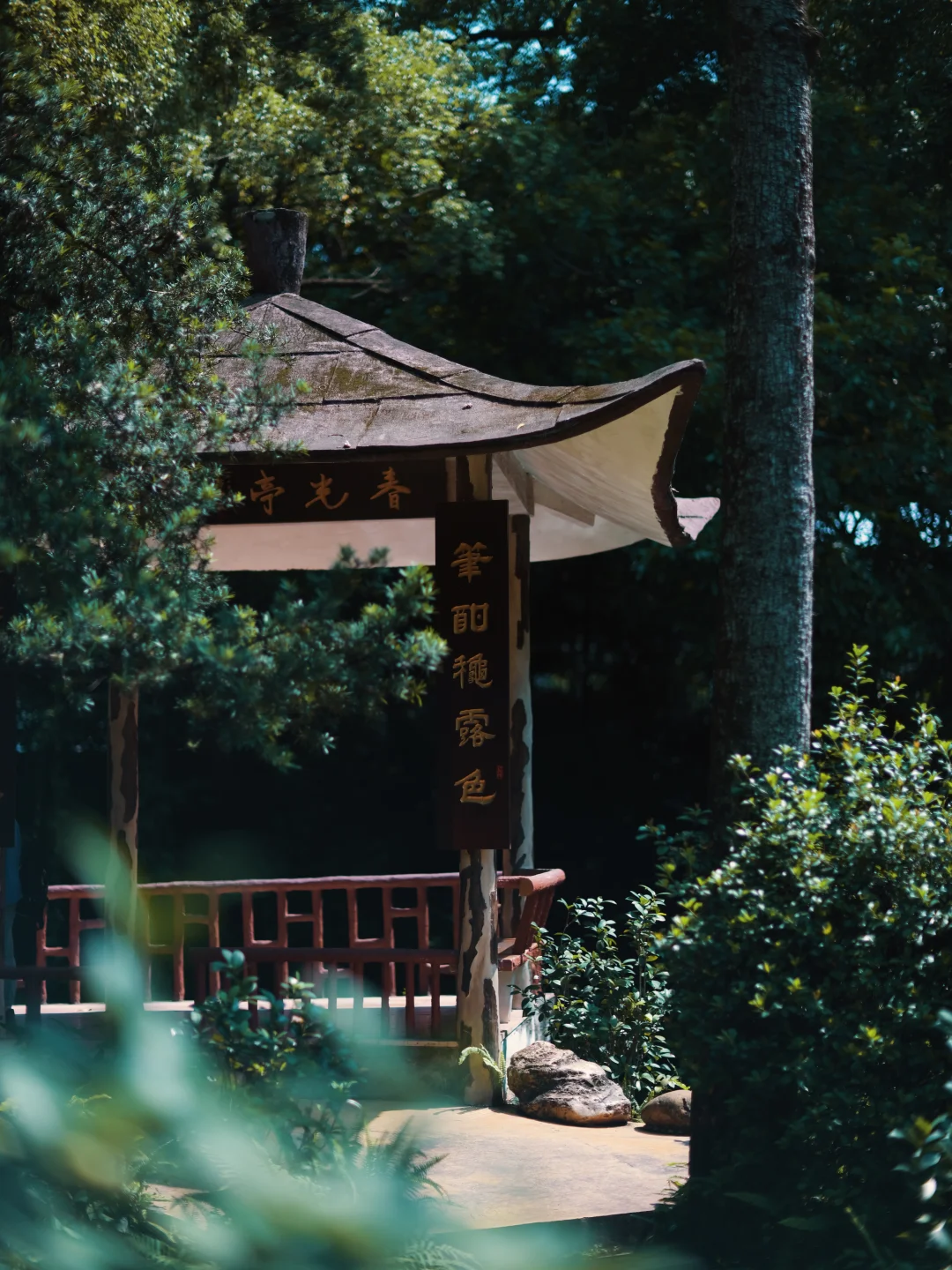 怕热就早一点去兰圃