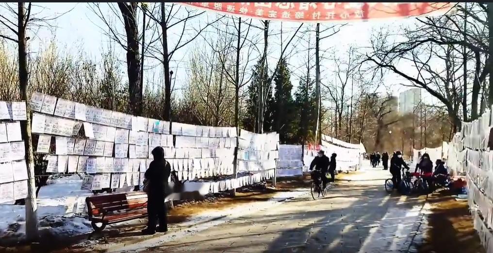 缩短教育年限对调整人口结构有益！年关将至，可给单身父母着急坏了，年年冒着严寒去给