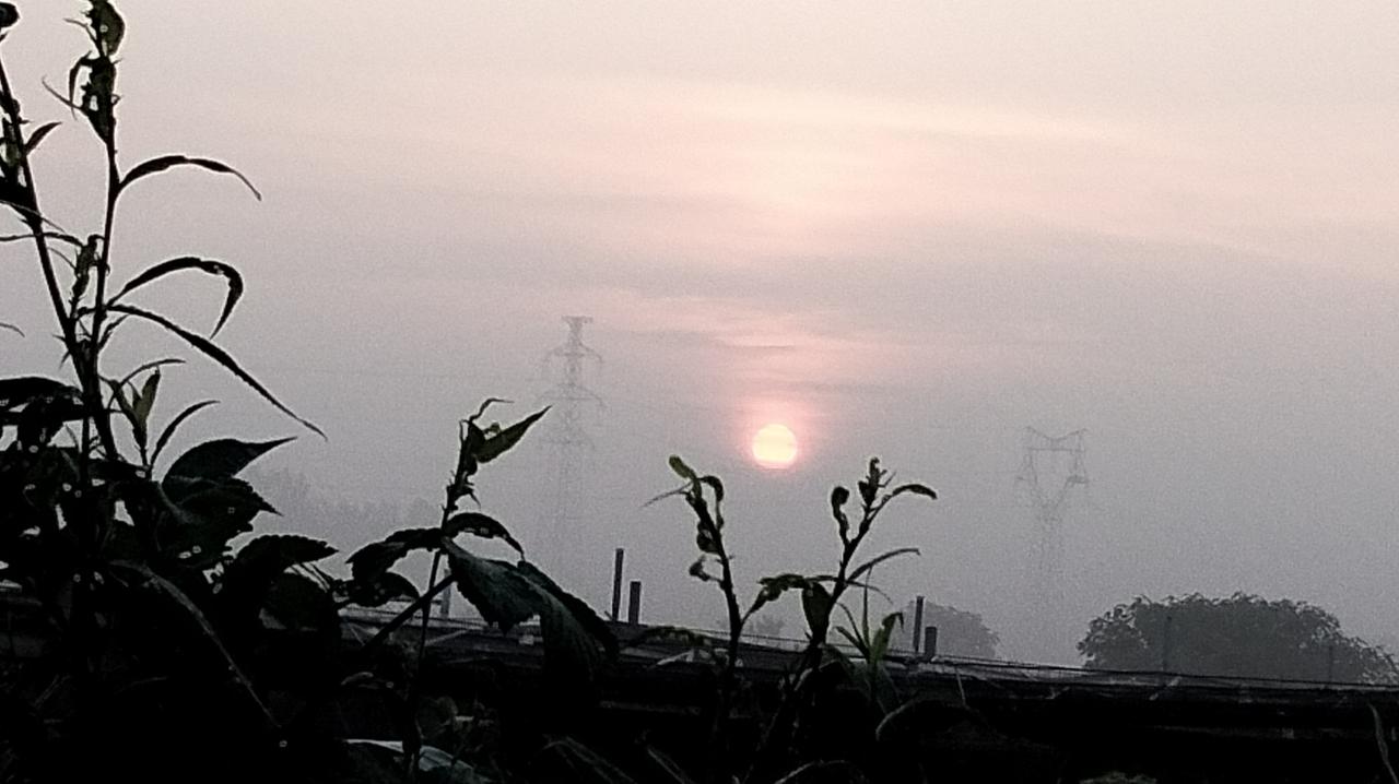 你手机相册里最美的天空照是什么迷雾下的阳光雨露！