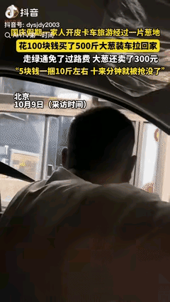 北京一男子开皮卡车带家人去承德玩，路过葱地，得知葱2毛1斤，花100元买了500
