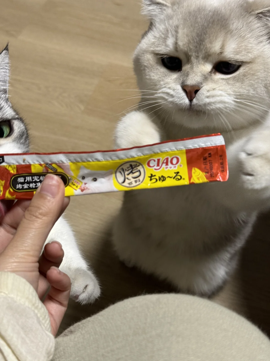 妈，要不我自己拿着吃吧