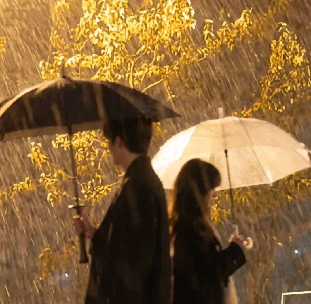 他一贫如洗时你是他最后的行李 他上船超重时第一个扔的就是你 