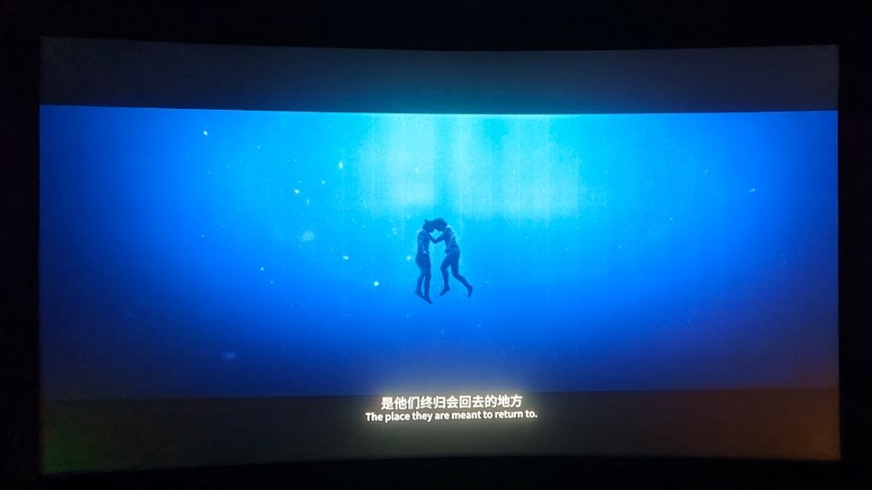 剧情还挺紧凑的，也能理解影片的最后是主题升华，但这些个镜头不要太抽象，给我看尬了