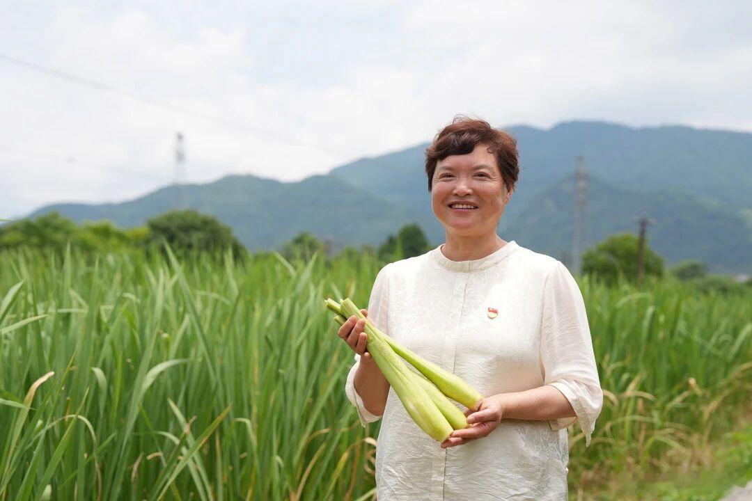 丽水李春萌一株茭白书写千里振兴答卷小小一株茭白 好厉害去 平凡人也能干出一番大事