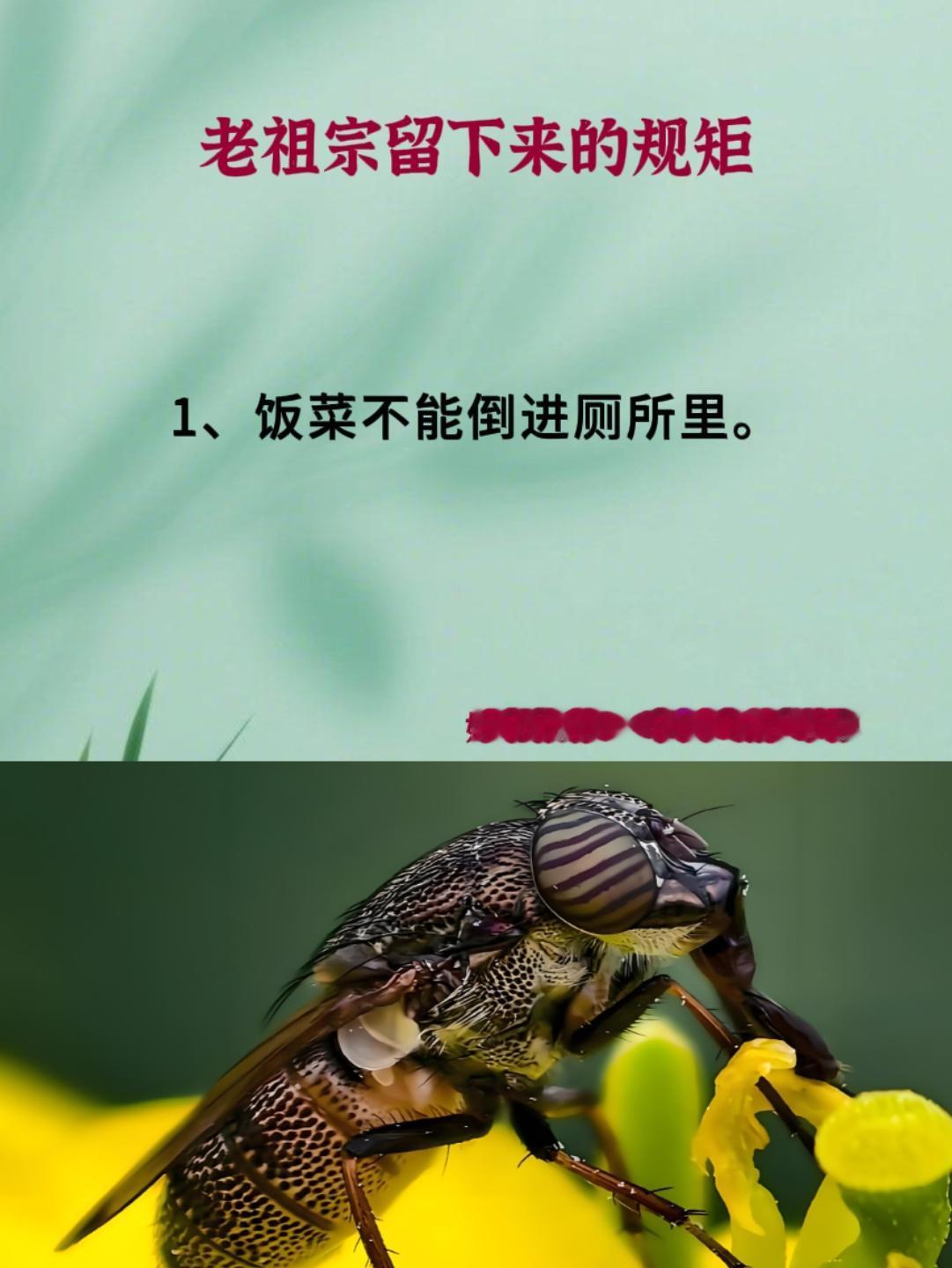 老祖宗的智慧 传统文化 中国人的规矩 好书推荐