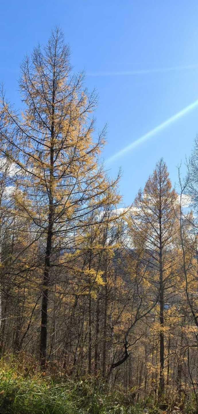 辽宁省大连市：郁郁葱葱 ​​​