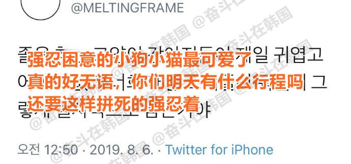 强忍困意的小狗小猫最可爱了 ​​​海外新鲜事 热点现场 ​​​