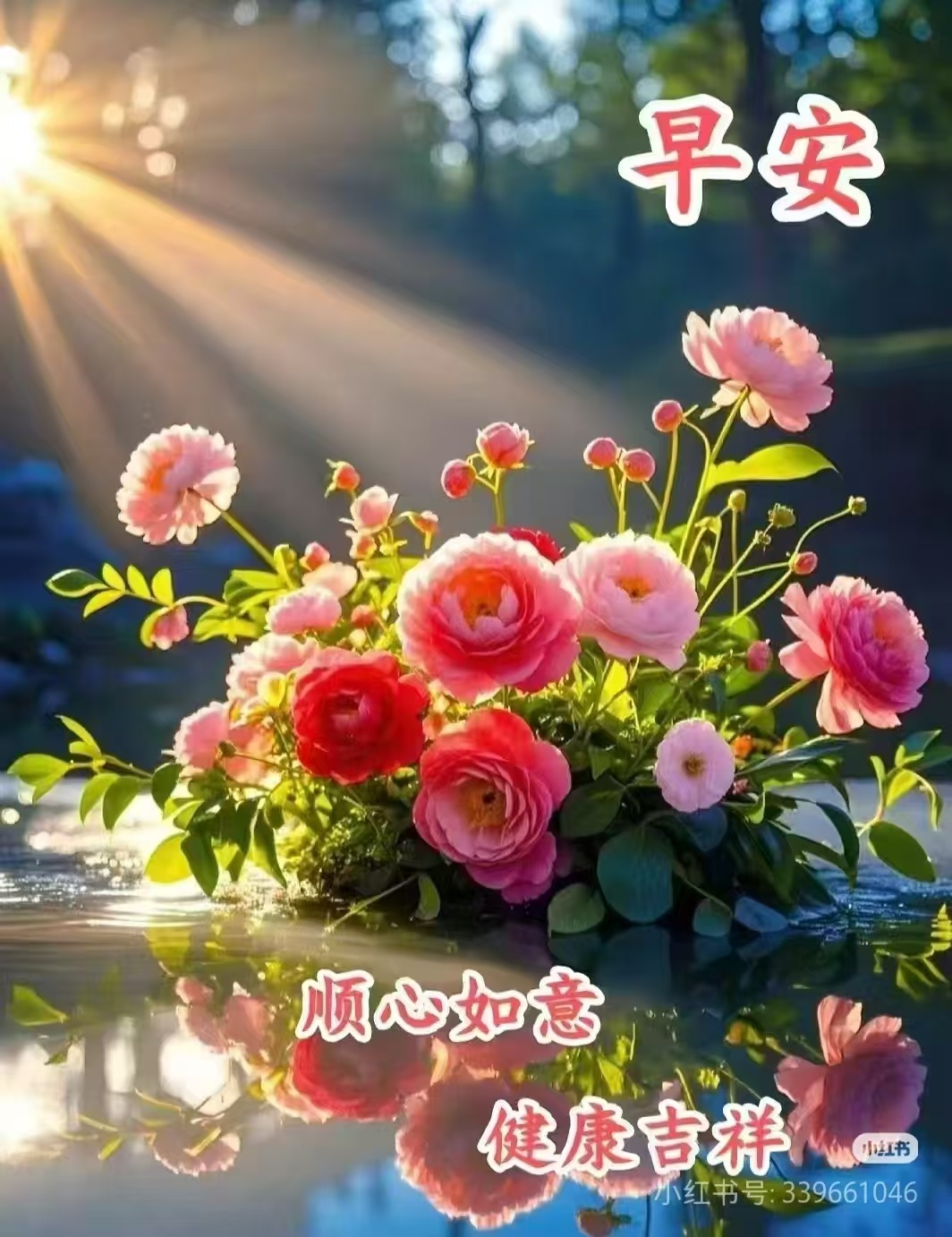 分享图片 