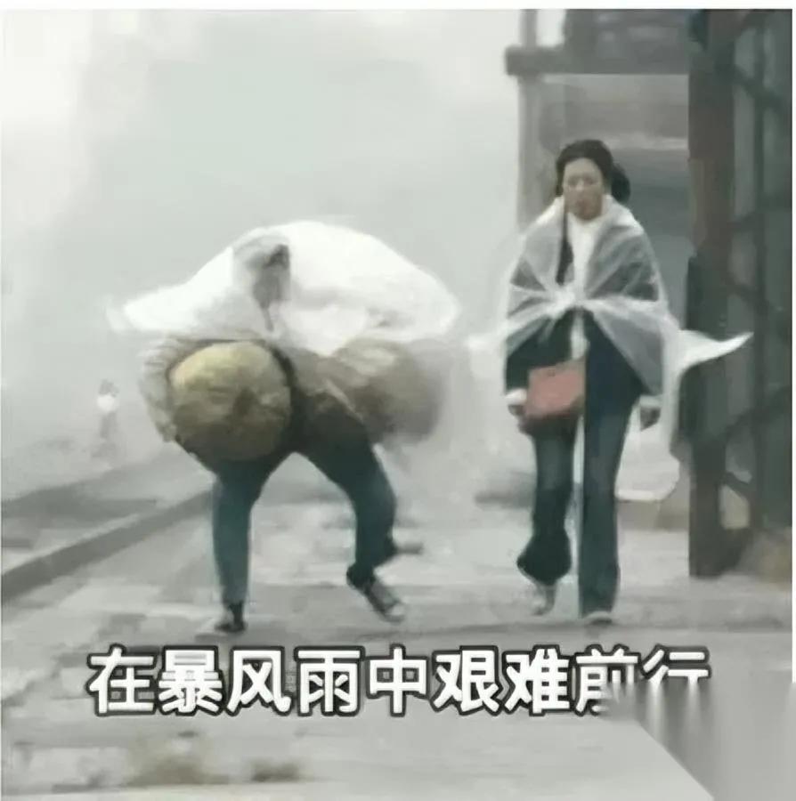 我闺女今年毕业

没地方落脚

你敢信她居然做出这种选择？

学校27号必须清寝