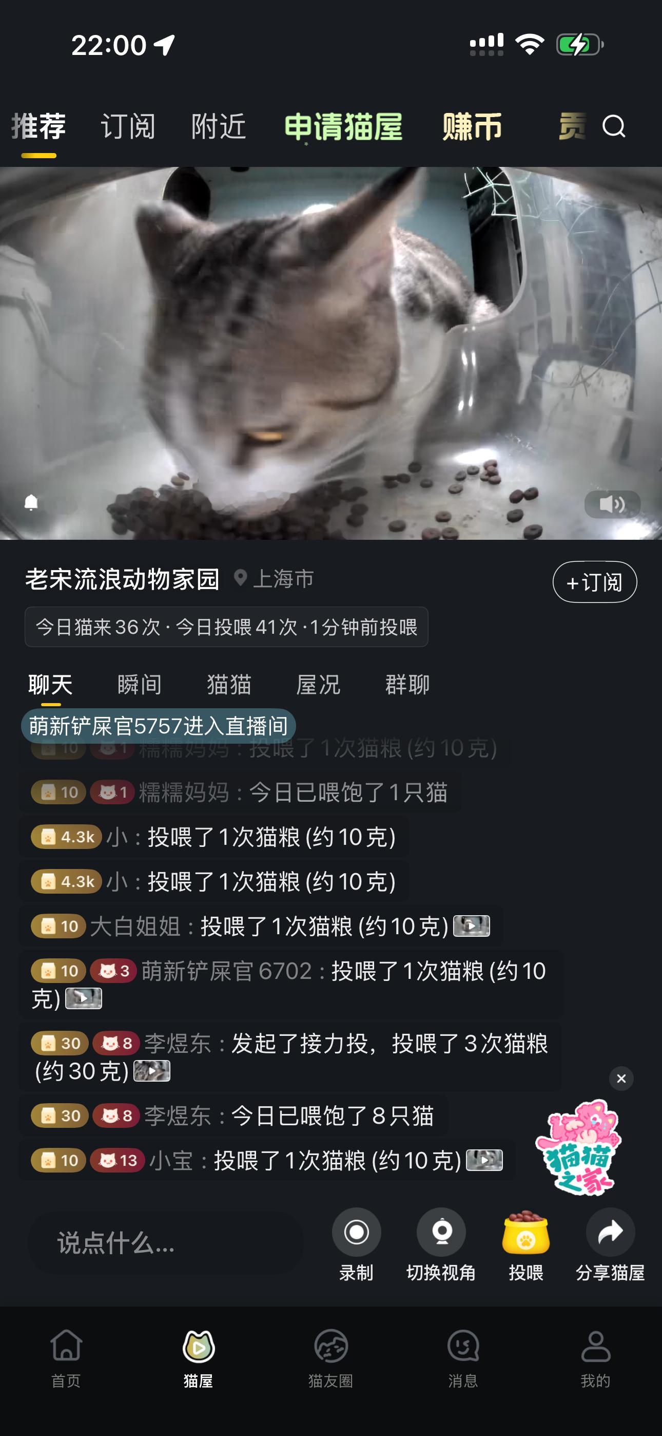李煜东今天足不出户喂饱八只猫 ​​​
