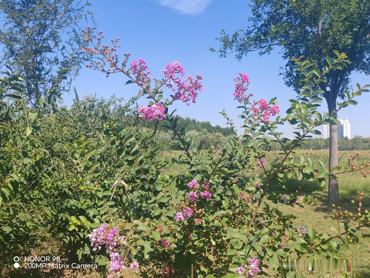 前阵子和一位做企业的老朋友闲聊，从企业经营一路聊到孩子身上。一说起自家儿子，刚才