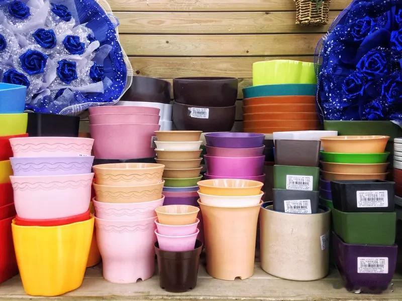 楼下空地上，大爷大妈们自发弄了个小小共享角。
谁家多余的花盆、绿植、书籍，都往那