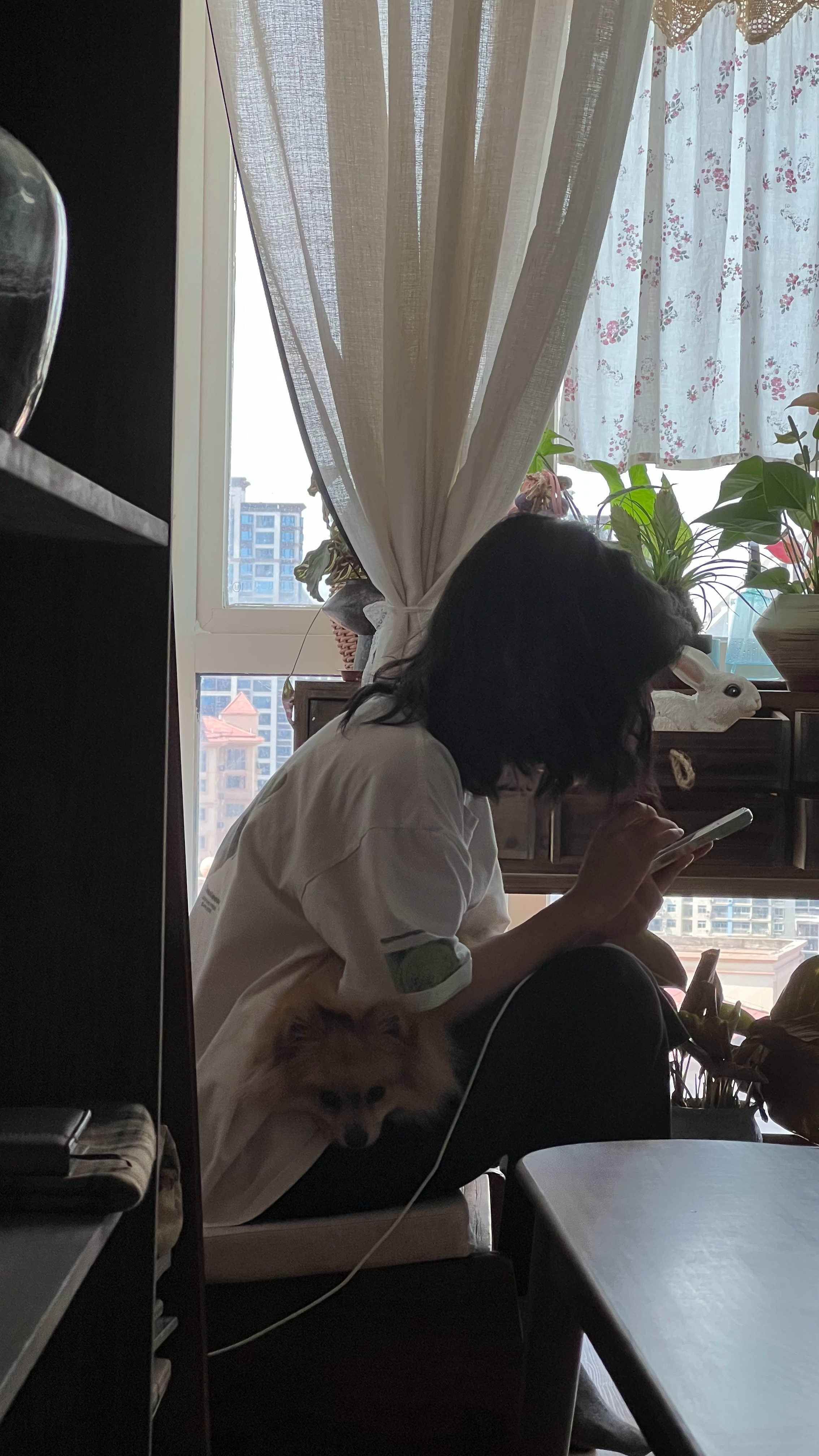 吸吸总是不给抱，我都是强行抱它。许多鱼拍了这张照片，发给我，说：孙悟空在五指山下