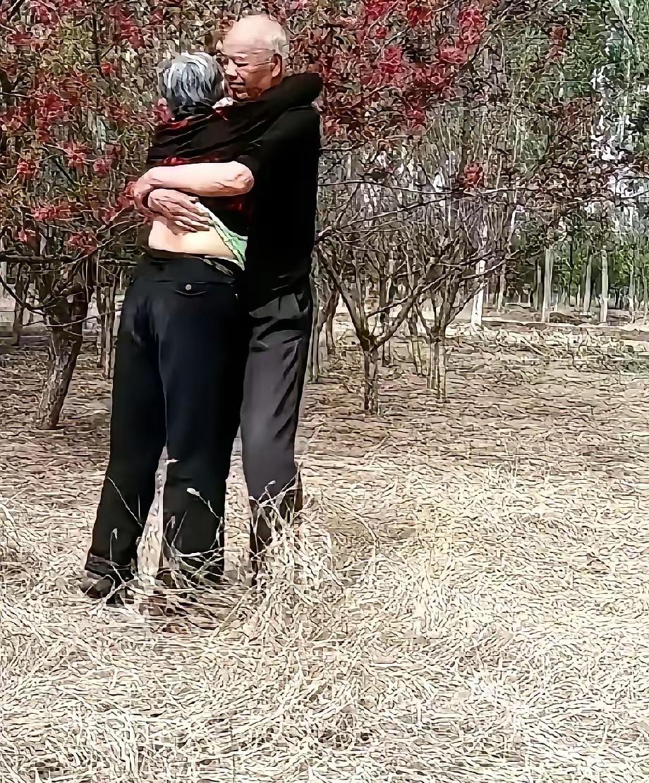 干柴烈火呀！大爷大妈在一片小树林里亲亲热热地搂抱在一起，看着就让人觉得害臊，一把