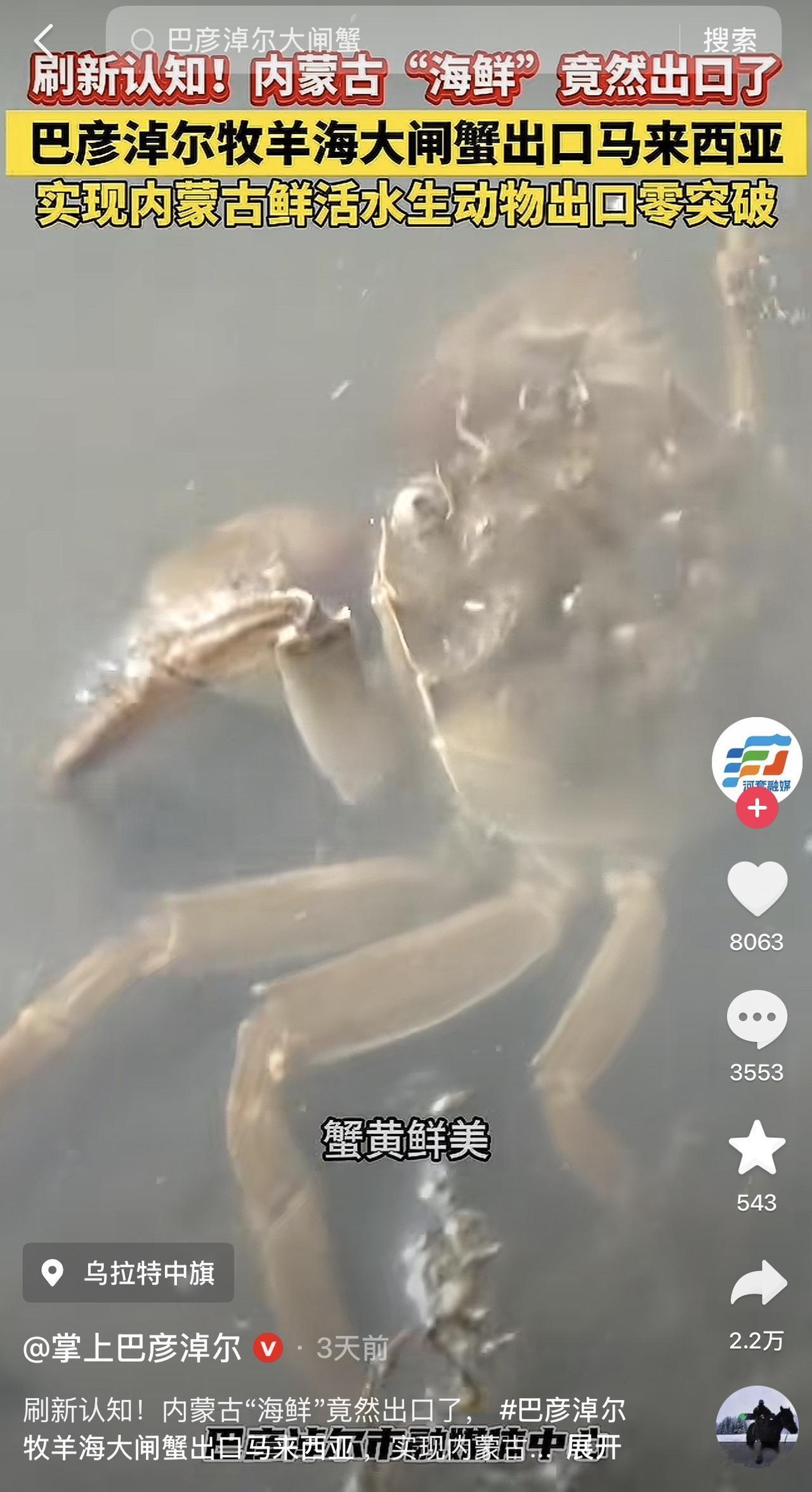 我的妈呀，内蒙古居然卖上海鲜大闸蟹了？对，你没听错，一个没有海的内陆省份，居然卖