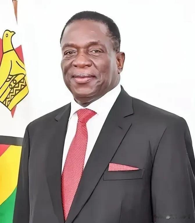 前脚巴拿马不顾中方反对，强行接管了巴拿马港口，后脚津巴布韦突然宣布暂停锂矿出口。