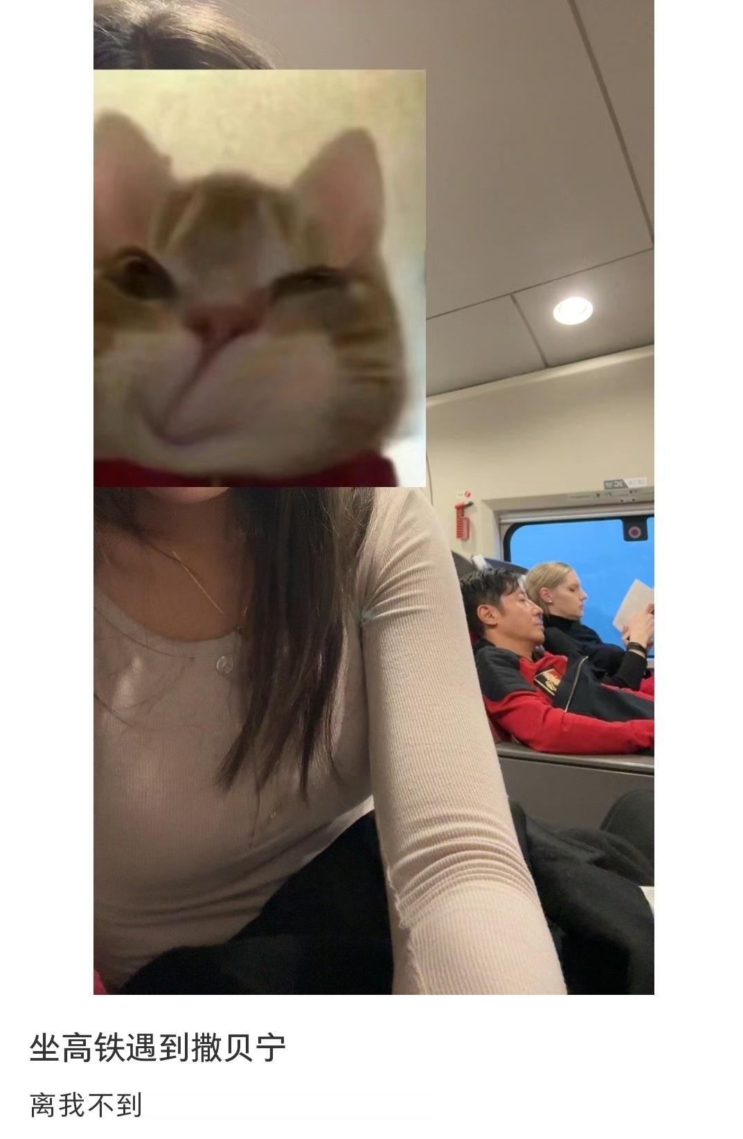 坐高铁遇到撒贝宁 ​​​